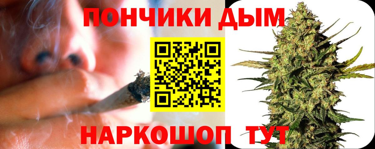 Каннабис семена  Бошки марихуана сатива  Бошки марихуана AK-47  Вход с VPN  Марихуана SATIVA & INDICA  Новоалександровск 